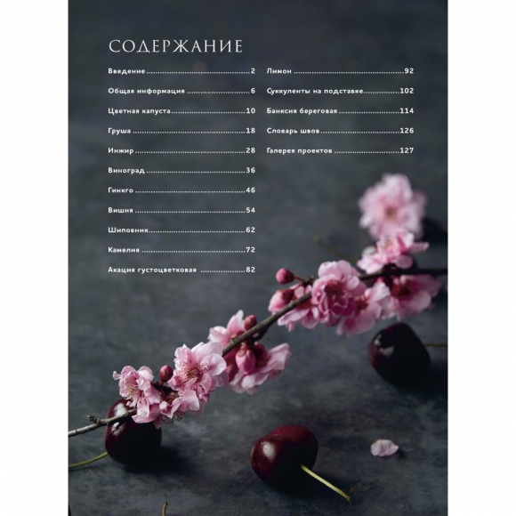 184316_Книга "Botanica.12 авторских дизайнов с цветами и плодами. Объемная вышивка шерстью от Джули Книдл" 184316_Книга "Botanica.12 авторских дизайнов с цветами и плодами. Объемная вышивка шерстью от Джули Книдл"