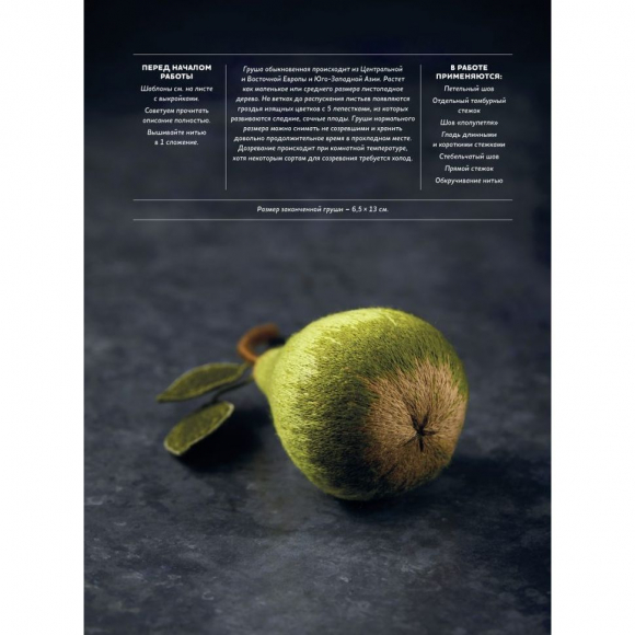 184316_Книга "Botanica.12 авторских дизайнов с цветами и плодами. Объемная вышивка шерстью от Джули Книдл" 184316_Книга "Botanica.12 авторских дизайнов с цветами и плодами. Объемная вышивка шерстью от Джули Книдл"