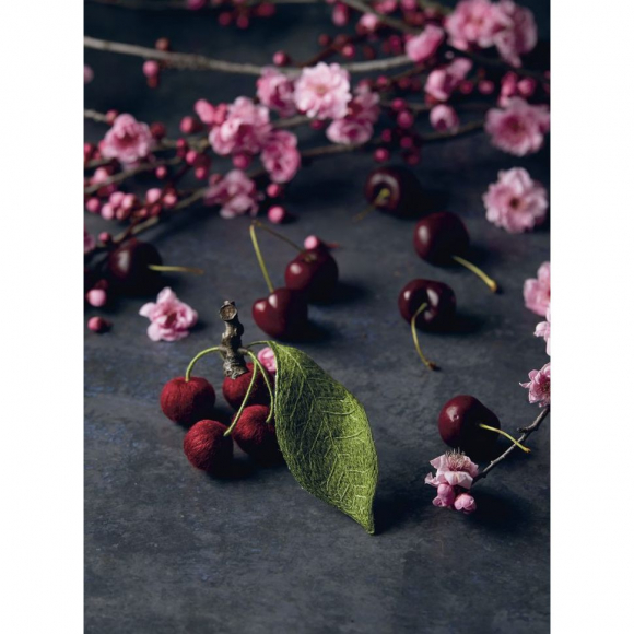 184316_Книга "Botanica.12 авторских дизайнов с цветами и плодами. Объемная вышивка шерстью от Джули Книдл" 184316_Книга "Botanica.12 авторских дизайнов с цветами и плодами. Объемная вышивка шерстью от Джули Книдл"