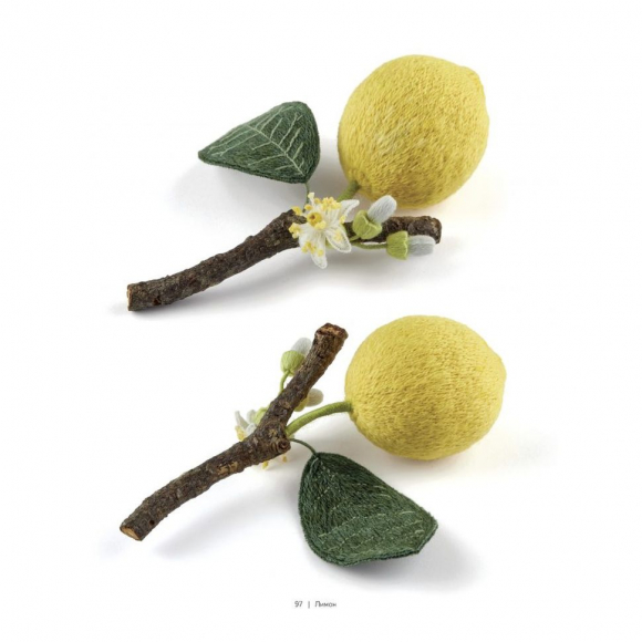 184316_Книга "Botanica.12 авторских дизайнов с цветами и плодами. Объемная вышивка шерстью от Джули Книдл" 184316_Книга "Botanica.12 авторских дизайнов с цветами и плодами. Объемная вышивка шерстью от Джули Книдл"