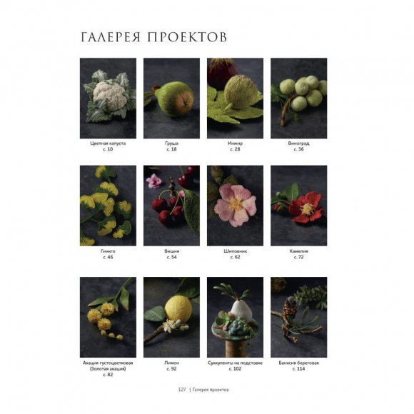 184316_Книга "Botanica.12 авторских дизайнов с цветами и плодами. Объемная вышивка шерстью от Джули Книдл" 184316_Книга "Botanica.12 авторских дизайнов с цветами и плодами. Объемная вышивка шерстью от Джули Книдл"