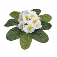 Букет декоративный "Примула"