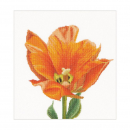 119313_Набор для вышивания "Оранжевый тюльпан Триумф", канва аида 18 ct