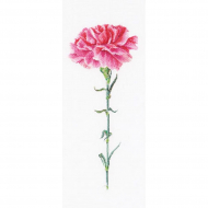 62579_Набор для вышивания "Розовая гвоздика", канва аида 18 ct