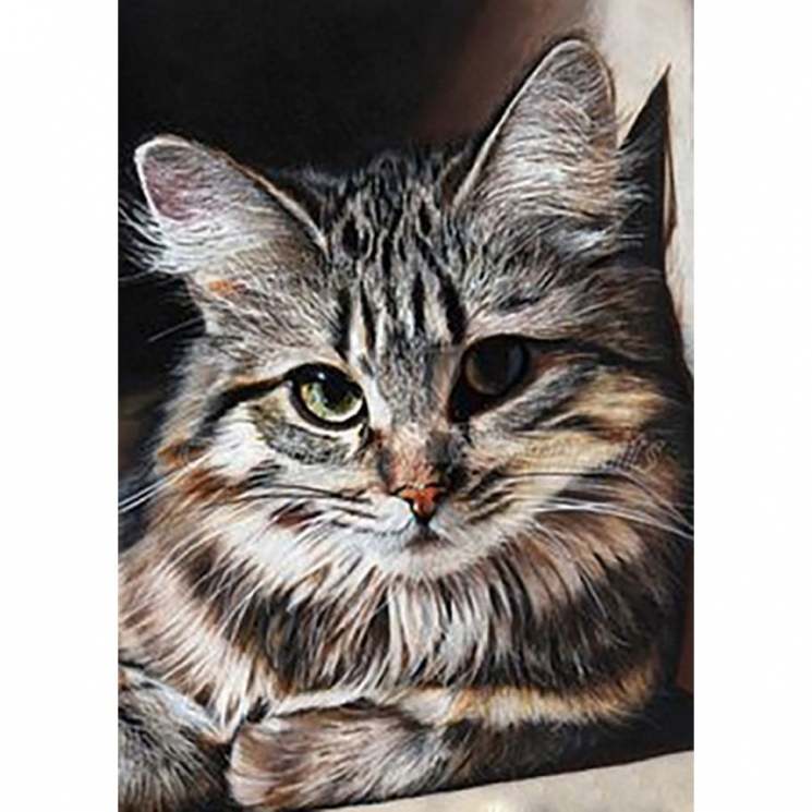 Алмазная мозаика на холсте ГРАННИ арт.Ag4674 Барсик 27х38см