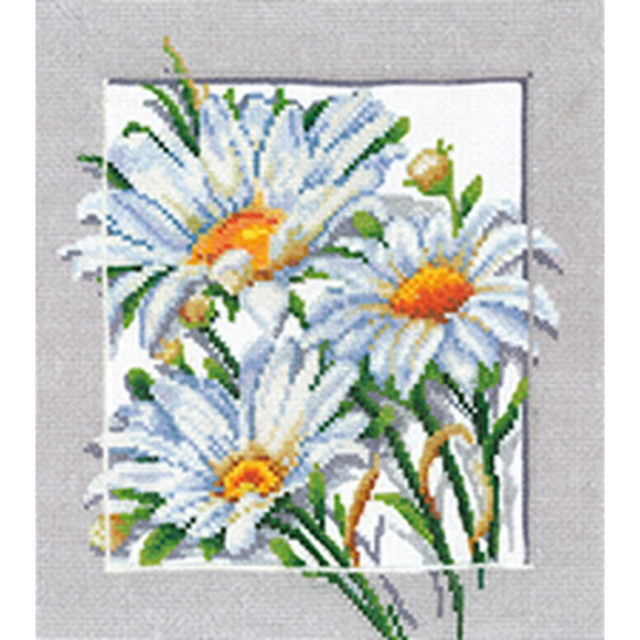 Набор для вышивания СДЕЛАЙ СВОИМИ РУКАМИ арт.С-48 Символы. Здоровье 20,5х22 см