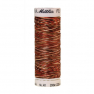 22802_Нить вышивальная мультиколор POLY SHEEN MULTI, 200 м