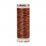 22802_Нить вышивальная мультиколор POLY SHEEN MULTI, 200 м