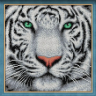 Набор для изготовления картин АЛМАЗНАЯ ЖИВОПИСЬ арт.АЖ.1788 Портрет белого тигра 25х25 см