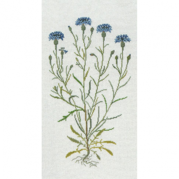 186770_Набор для вышивания: "Васильки"