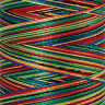 22827_Нить вышивальная мультиколор POLY SHEEN MULTI, 200 м