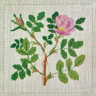186839_Набор для вышивания: "Роза"