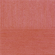 Пряжа для вязания ПЕХ Школьная (100% акрил) 5х50г/150м цв.351 св.коралл