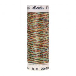 22834_Нить вышивальная мультиколор POLY SHEEN MULTI, 200 м