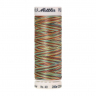 22834_Нить вышивальная мультиколор POLY SHEEN MULTI, 200 м