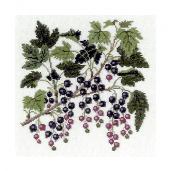 186809_Набор для вышивания: "Черная смородина"