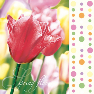 102964_Салфетки - трехслойные, Maki, коллекция "Весенний ланч"