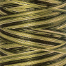 22836_Нить вышивальная мультиколор POLY SHEEN MULTI, 200 м