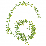 121389_Декоративные цветы "Гирлянда зеленая"