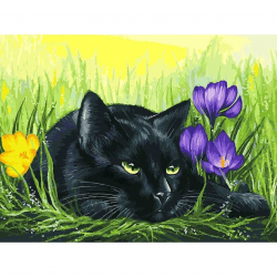 Картины по номерам Белоснежка арт.БЛ.113-AS Кот и крокусы 30х40 см