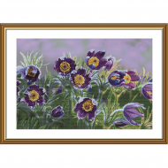 Набор для вышивания мулине НОВА СЛОБОДА арт.СР3301 Сон-трава 43х28 см