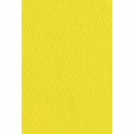 80291_Бумага универсального назначения "Color Multi Purpose Card"