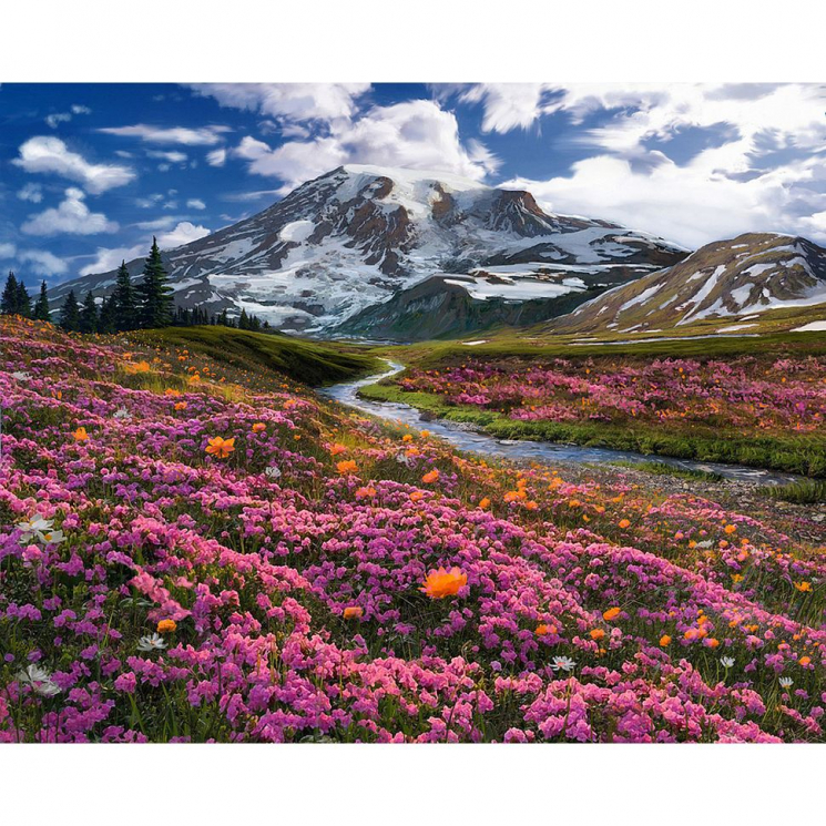 Алмазная мозаика Ah5344 Весна в горах 40х50