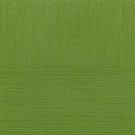 Пряжа для вязания ПЕХ Школьная (100% акрил) 5х50г/150м цв.434 зеленый