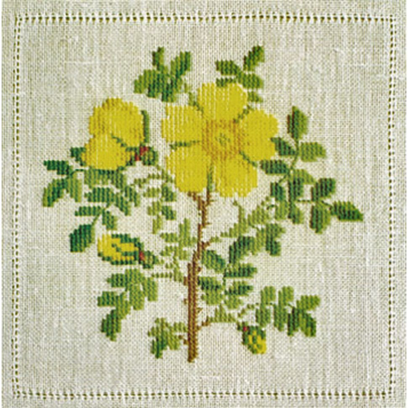 186838_Набор для вышивания: "Роза"