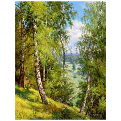 Картины по номерам Molly арт.KH0976 Прищепа. Березы в лесу 40х50 см