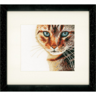 Набор для вышивания LANARTE арт.PN-0021202 Cat - close-up 17х17 см