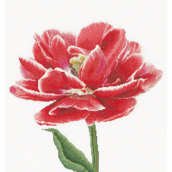 Набор для вышивания THEA GOUVERNEUR арт.520A Ранний красно-белый тюльпан 34х36 см Набор для вышивания THEA GOUVERNEUR арт.520A Ранний красно-белый тюльпан 34х36 см