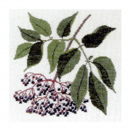 186845_Набор для вышивания: "Бузина"