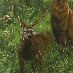Ткань для пэчворка PEPPY Nature Studies 2 Panel 146 г/м? 100% хлопок цв.SRK-13624-270 MEADOW уп.60х110 см