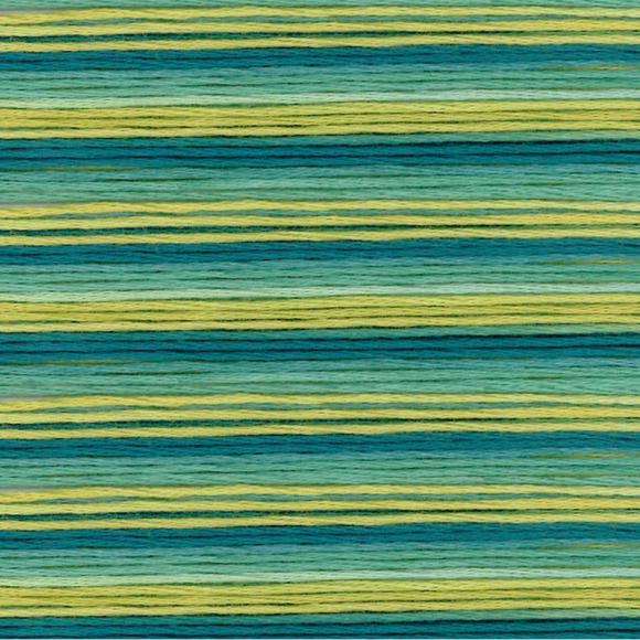 164871_Мулине Cosmo меланж Seasons 8020