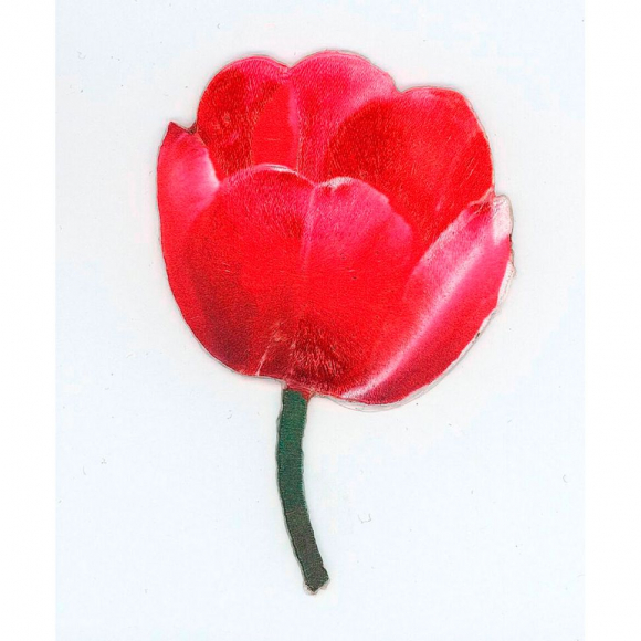 Термоаппликация с 3D эффектом "Красный тюльпан"