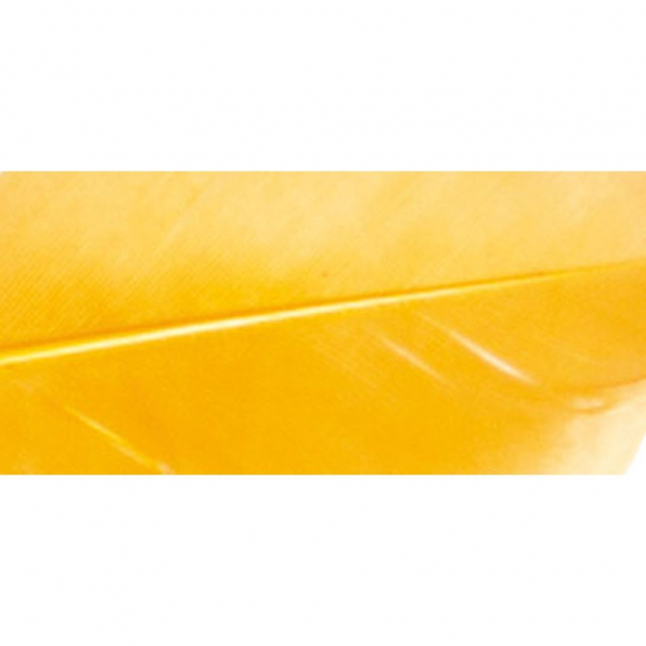 121073_Перья декоративные обрезанные