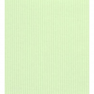 Кашкорсе с лайкрой 30/1 КЛ.27746 25х56см (±2см) 95% х/б, 5% лайкра, цв.св-зелёный (9025)