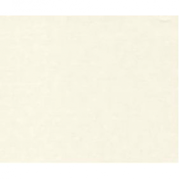 Ткань "Кулирная гладь" арт.КЛ.23629 плотная 50х45см (±1см) экрю