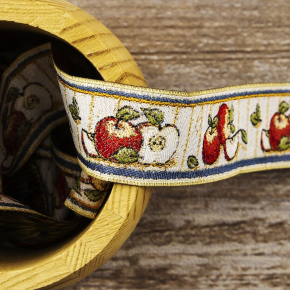 109407_Лента жаккард SAFISA, 25 мм, 15 м, цвет 01