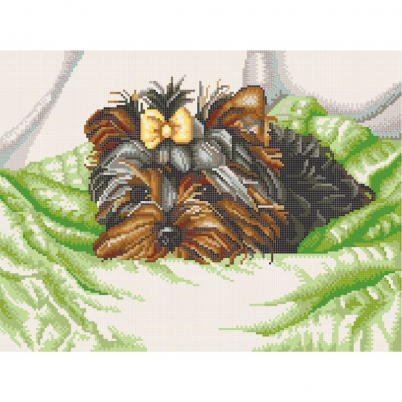 Рисунок на канве КОНЁК арт. 7802 Йоркширский терьер 29х39 см