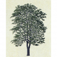 186763_Набор для вышивания: "Дерево"