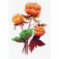 Набор для вышивания KLART арт. 8-340 Морошка 10,5х14 см