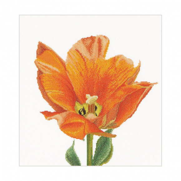Набор для вышивания THEA GOUVERNEUR арт.523A Оранжевый тюльпан Триумф 34х36 см Набор для вышивания THEA GOUVERNEUR арт.523A Оранжевый тюльпан Триумф 34х36 см