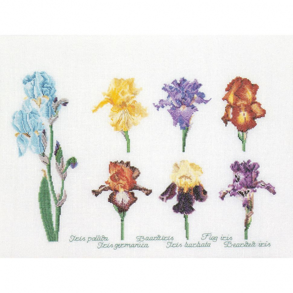 35040_Набор для вышивания "Ирисы", канва аида 16 ct