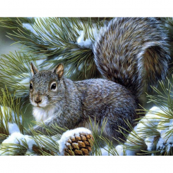 Алмазная мозаика Ah09371 Бельчонок на ели 40х50