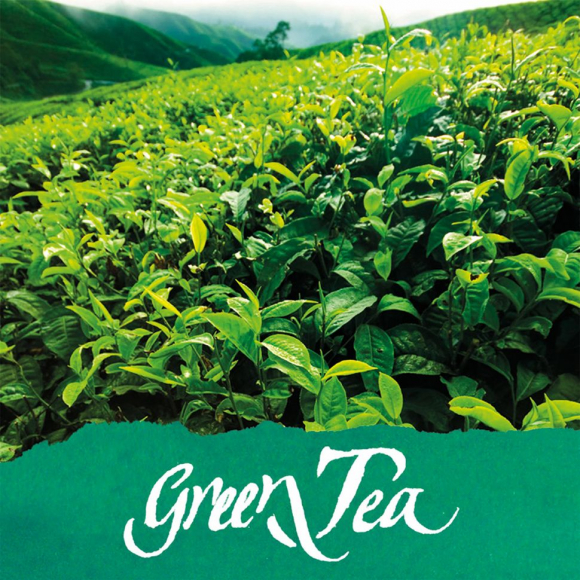 189721_Чернила "Ink of the Senses" для перьевых ручек, 15 мл, с ароматом зеленого чая, цвет зеленый