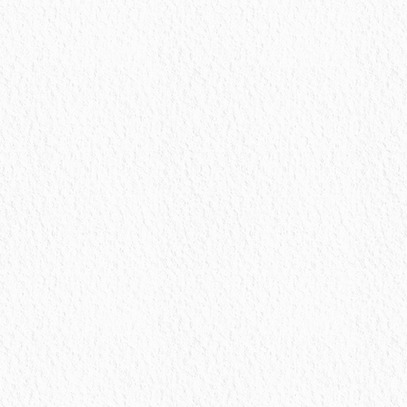 79736_Бумага универсального назначения "Color Multi Purpose Card"