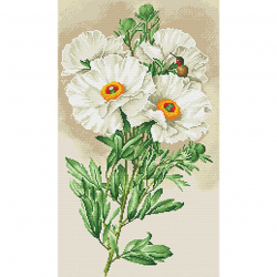 Кристальная мозаика на холсте ФРЕЯ арт.ALV-2 01 Белая ромнея 60х35 см