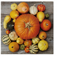172212_Салфетки трехслойные для декупажа, коллекция "Lunch" PAW Decor Collection "Тыквенная композиция" 172212_Салфетки трехслойные для декупажа, коллекция "Lunch" PAW Decor Collection "Тыквенная композиция"